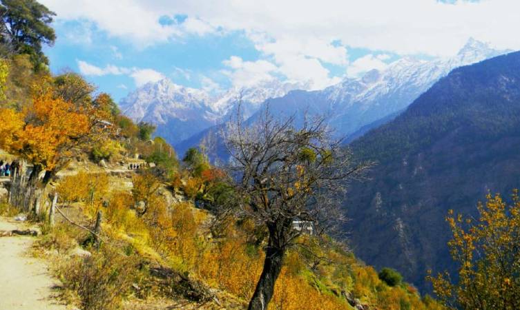 places to visit in kasauli