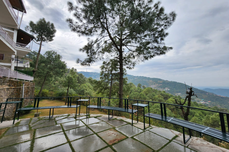 couple friendly resorts in kasauli